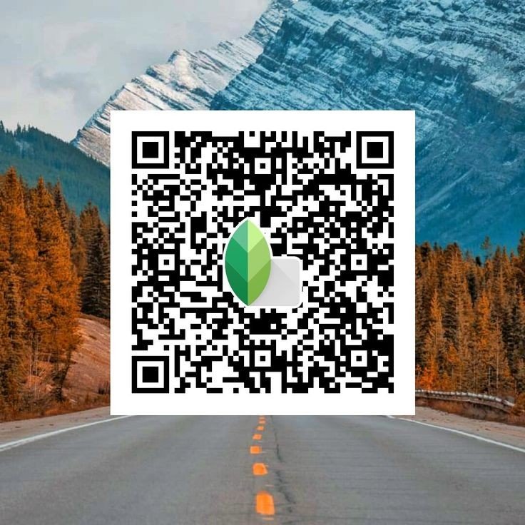 Snapseed QR code12 Snapseed QR code12