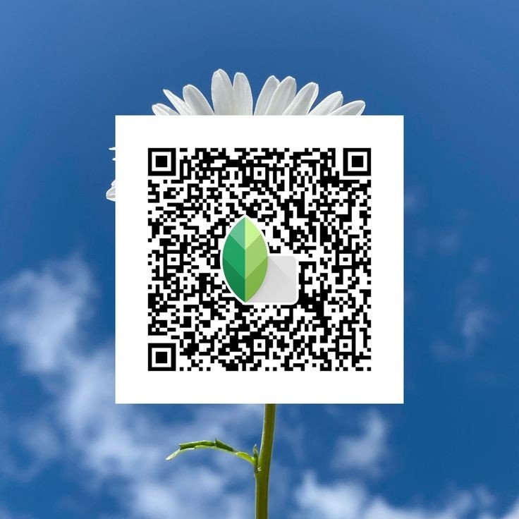 Snapseed QR code17 Snapseed QR code17