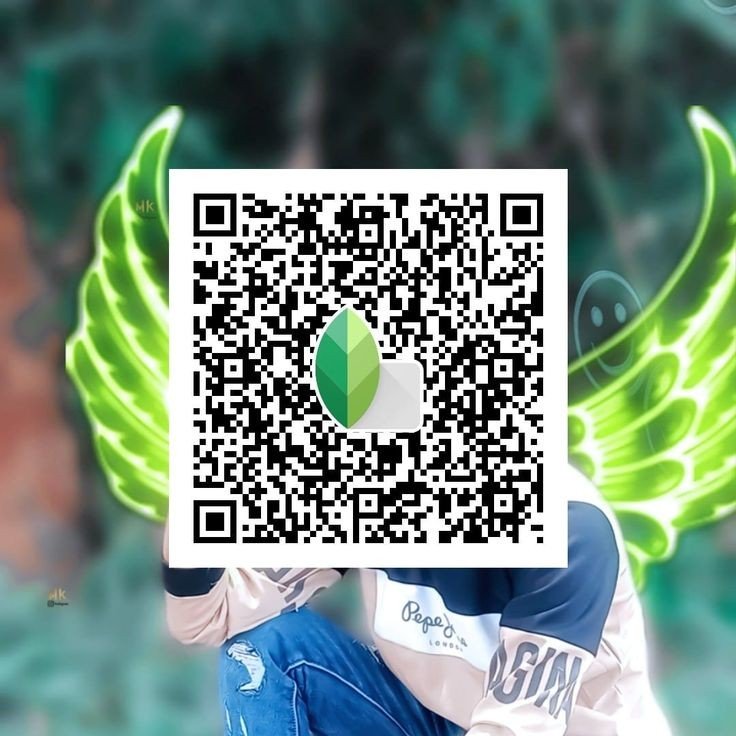 Snapseed QR code19 Snapseed QR code19