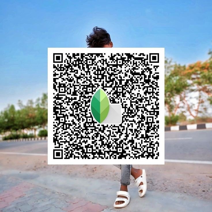 Snapseed QR code22 Snapseed QR code22