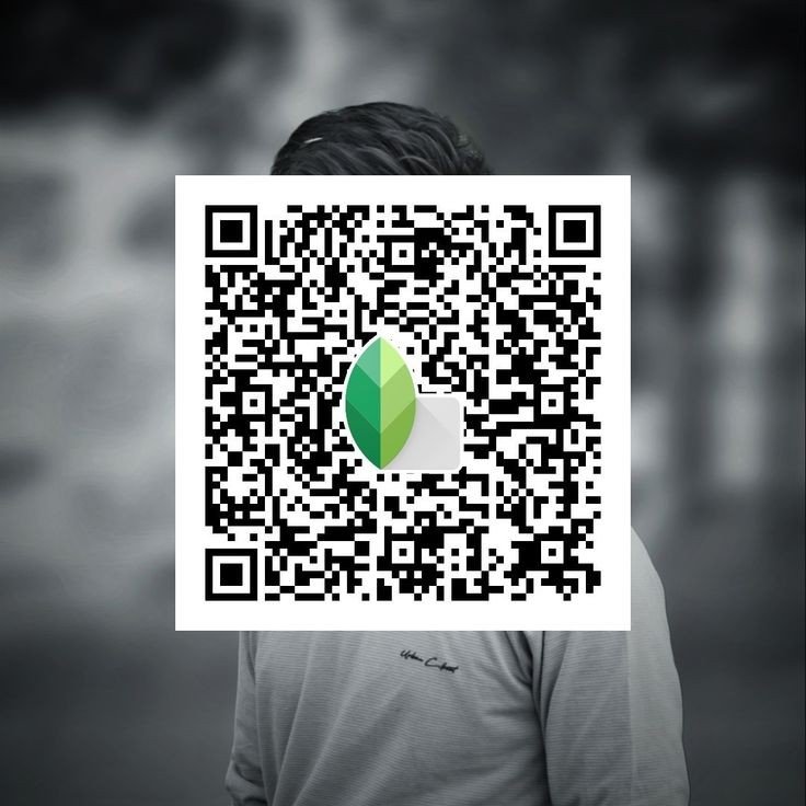 Snapseed QR code35 Snapseed QR code35