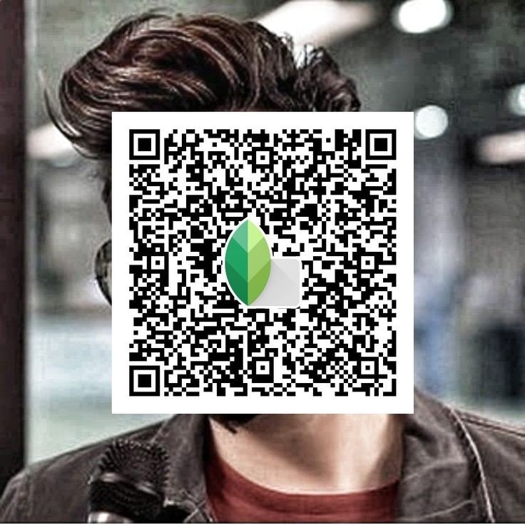 Snapseed QR code8 Snapseed QR code8