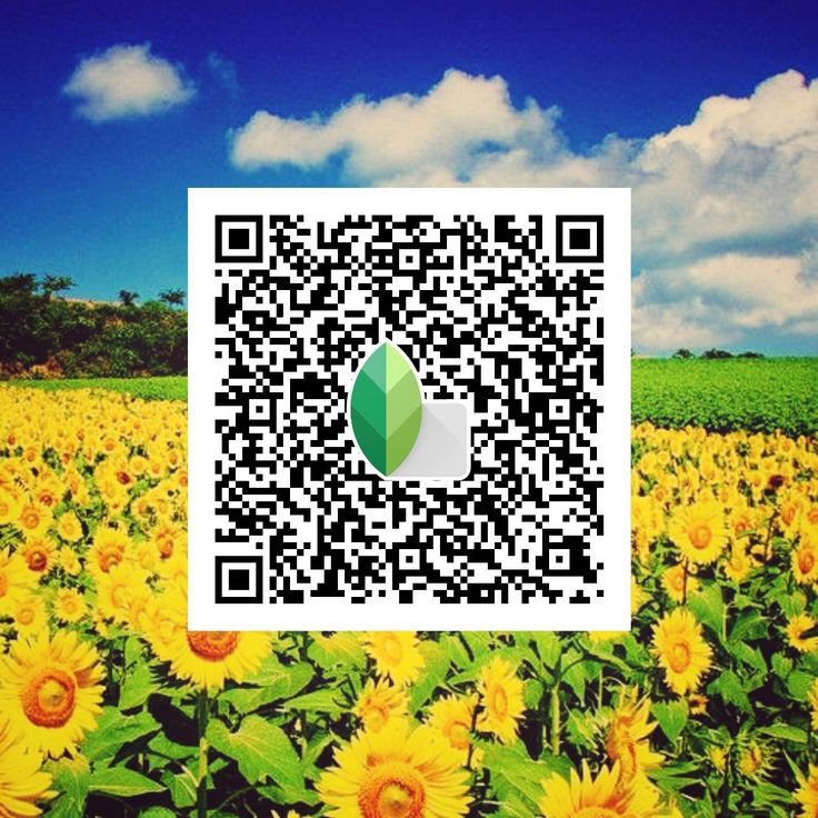 bike snapseed qr code