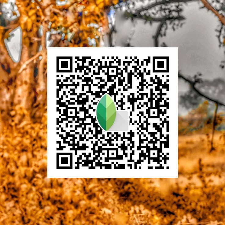 black background snapseed qr code