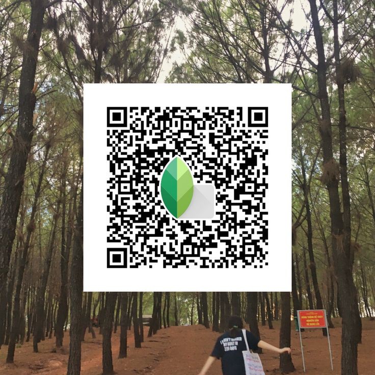 black snapseed qr code