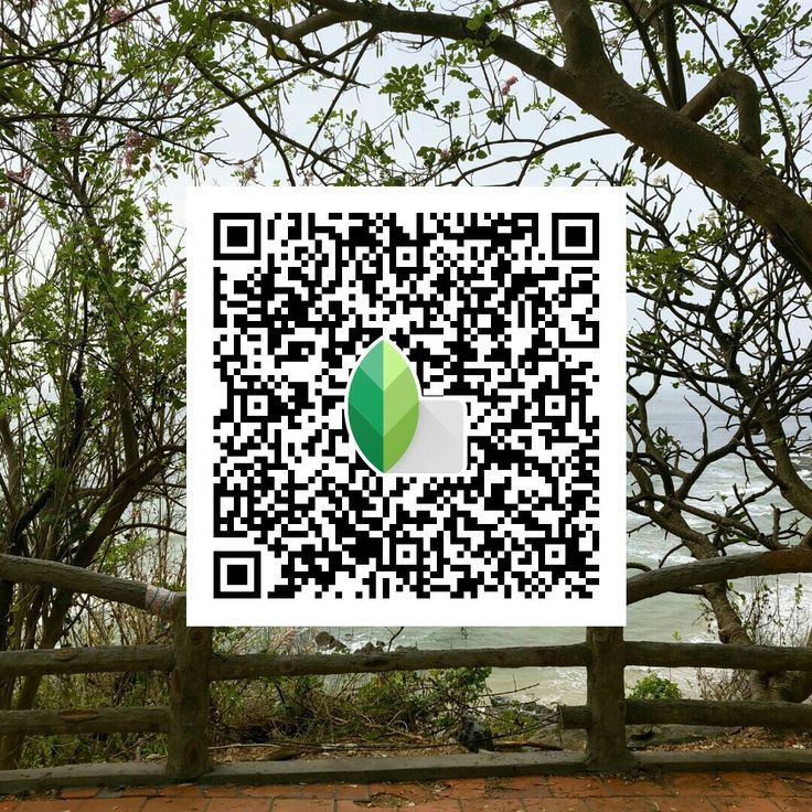 black snapseed qr code