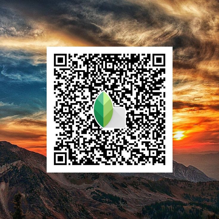 black snapseed qr code