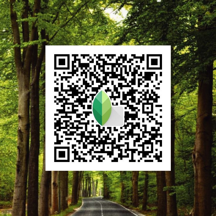 how to use snapseed qr code