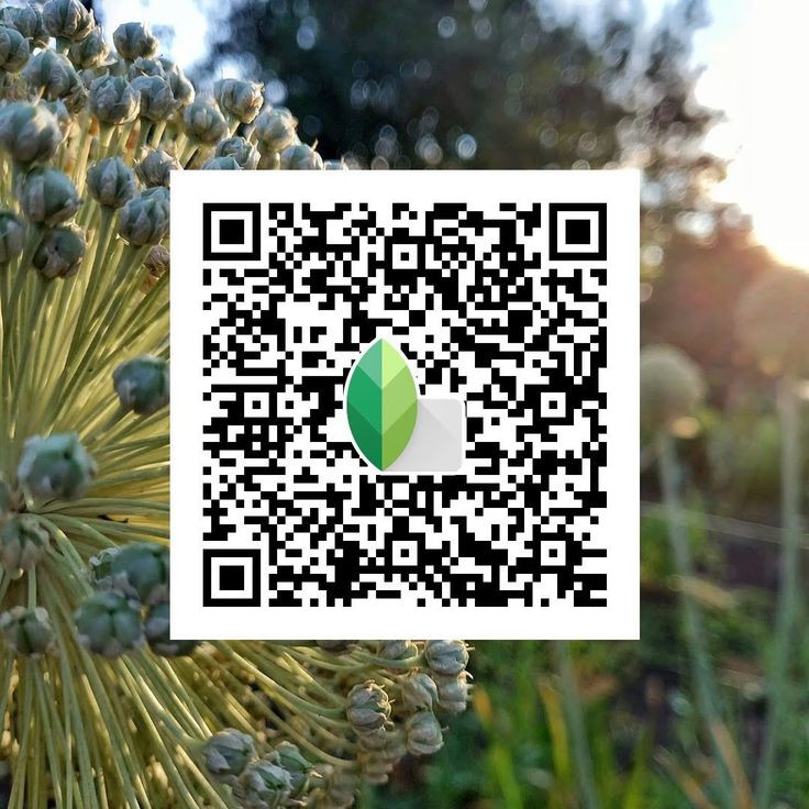 snapseed preset qr code