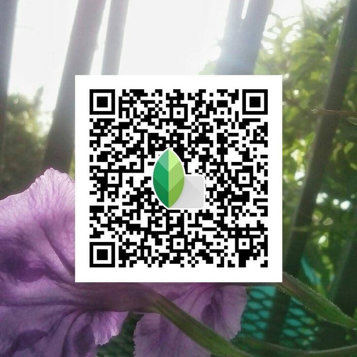 snapseed preset qr code