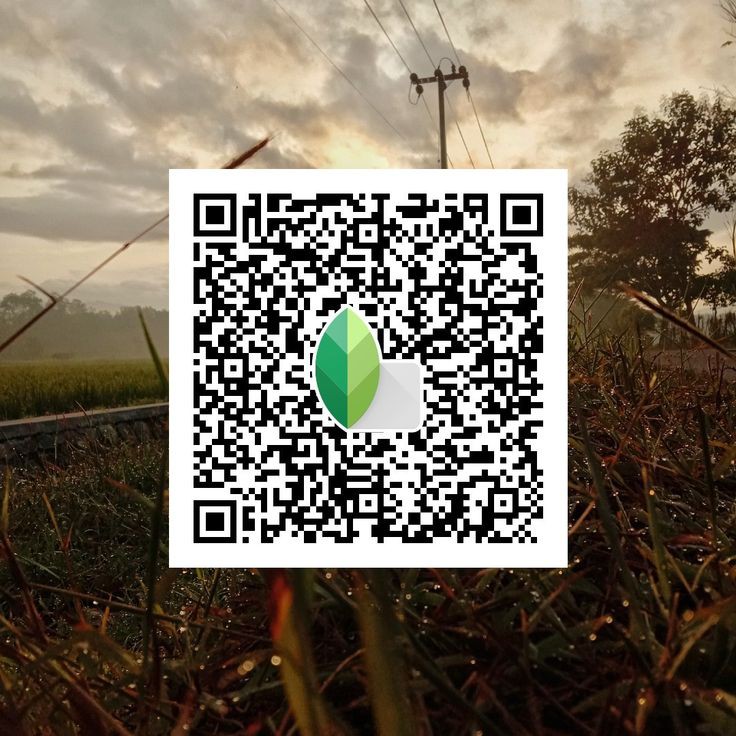 snapseed qr best