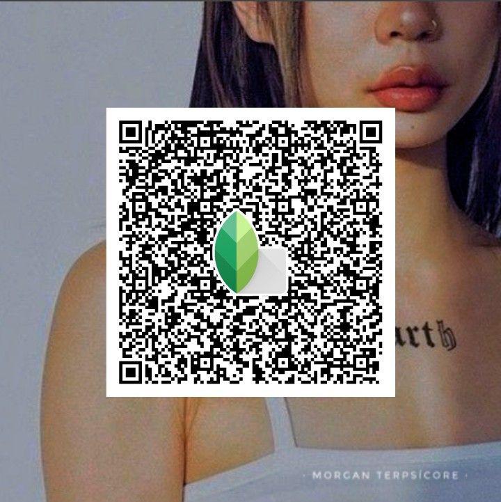 snapseed qr blur background