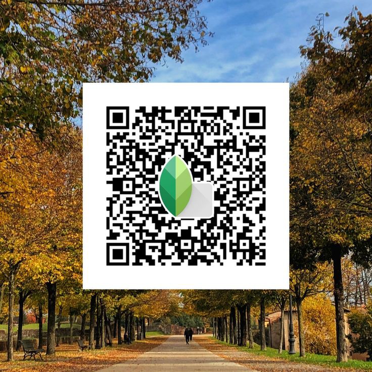 snapseed qr code blue and brown