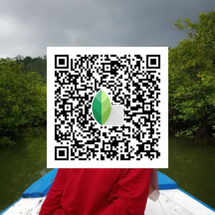 snapseed qr code blur