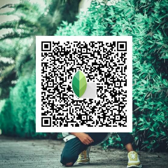 snapseed qr code evening