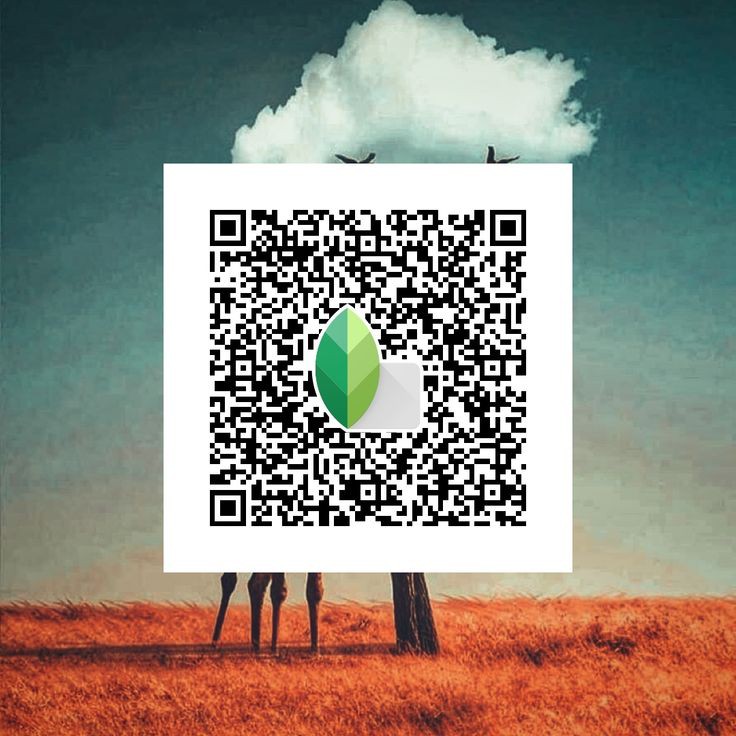 snapseed qr code night photo editing