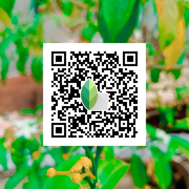 snapseed qr code