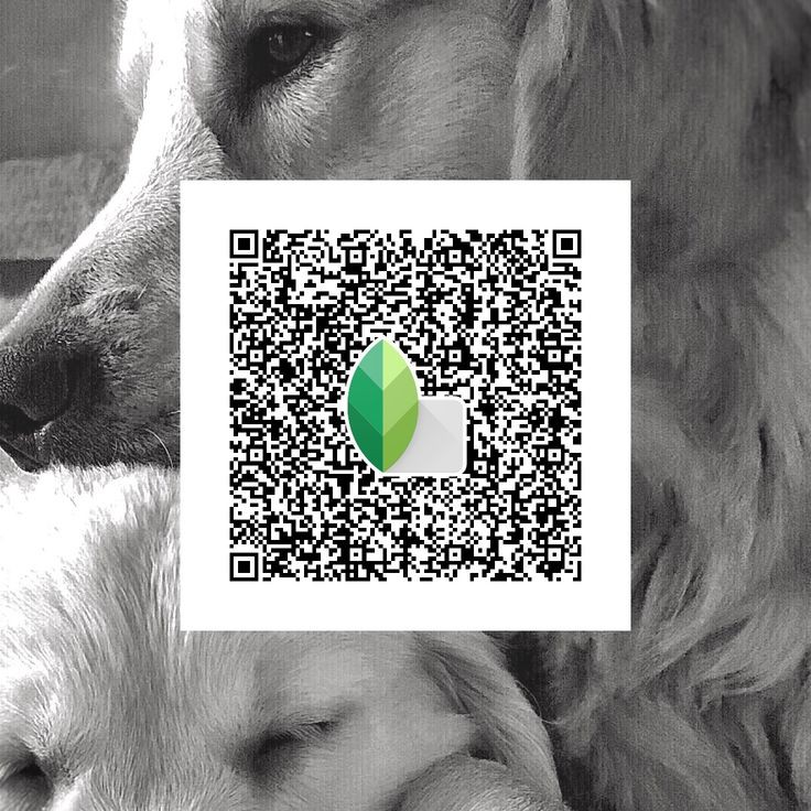 snapseed qr codes
