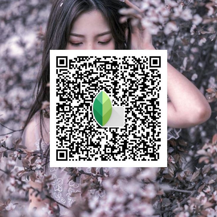 snapseed qr codes background