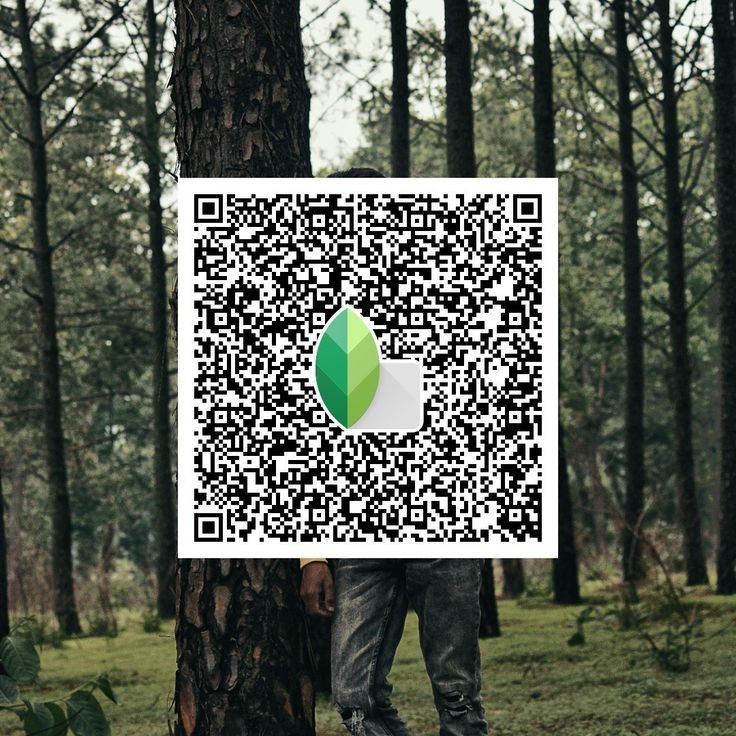 snapseed qr codes blur background