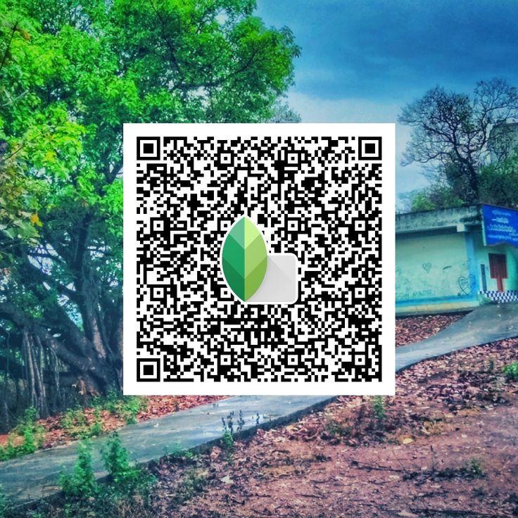 snapseed qr codes blur background download