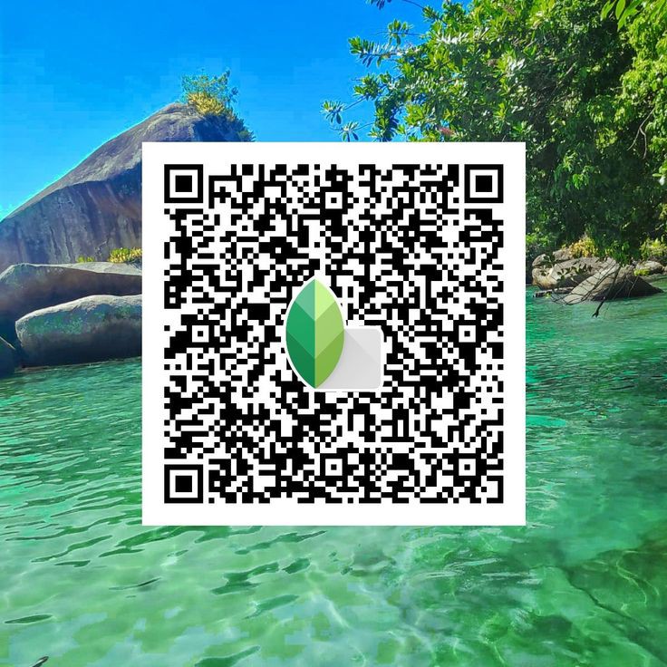 snapseed qr codes blur background iphone