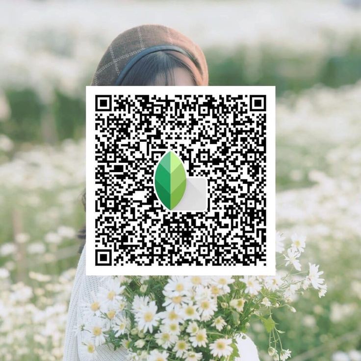 snapseed qr codes hd 4k