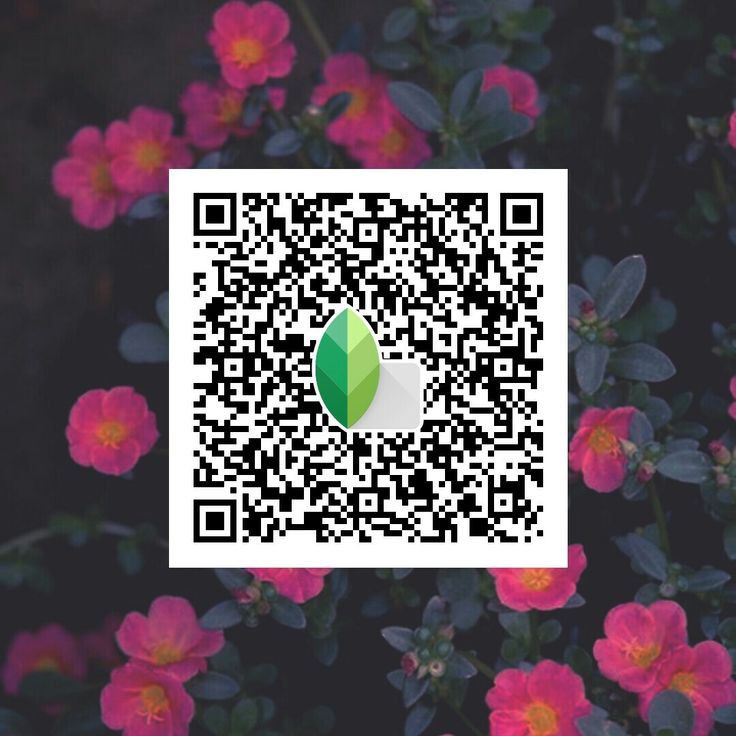 snapseed qr codes hd